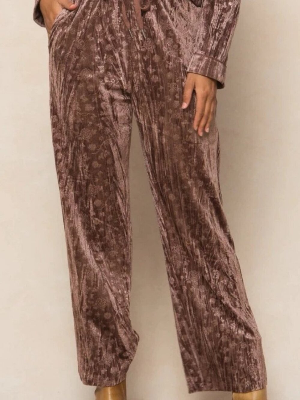 Ivy City Kali Velvet Pants in Plum